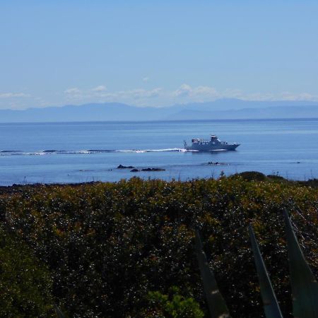 Le Case Punta Negra スティンティーノ エクステリア 写真