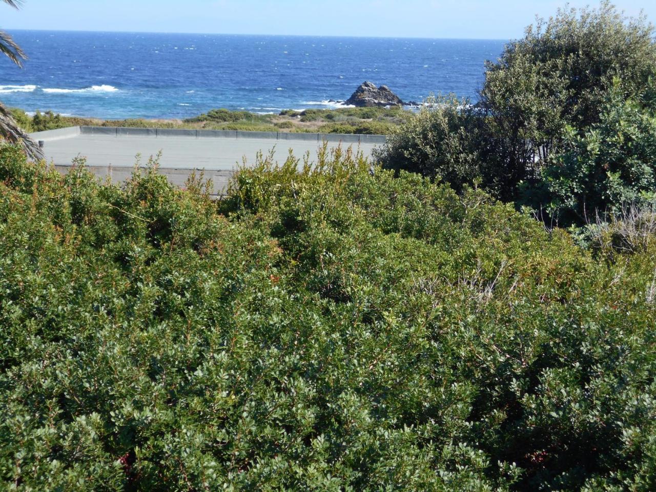 Le Case Punta Negra スティンティーノ エクステリア 写真